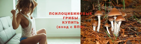 мет Абаза