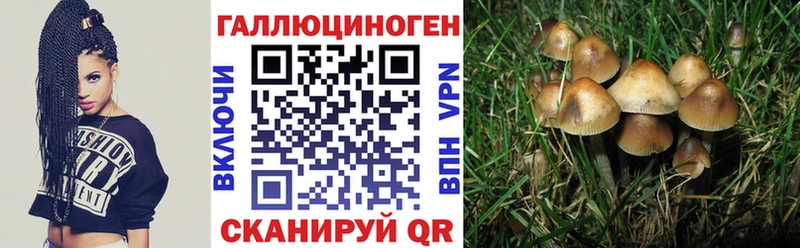 Галлюциногенные грибы прущие грибы  хочу   Чита 